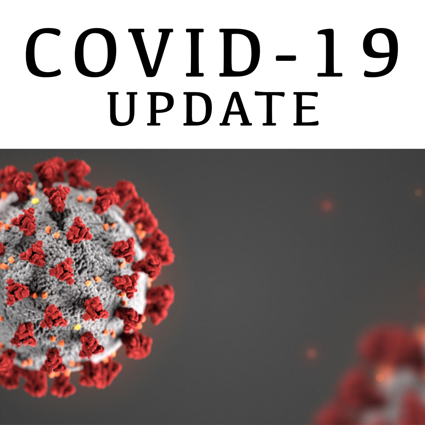 COVID-19